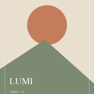 LUMI 幾何示意圖 1