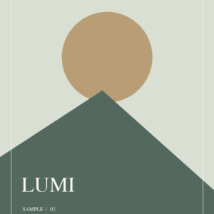LUMI 幾何示意圖 2